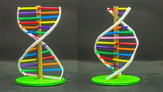 School Science Projects  DNA Model [upl. by Ennailuj]