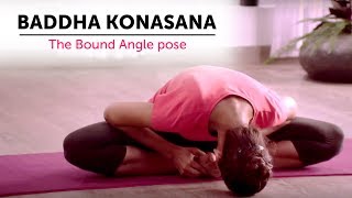 Baddha Konasana  The Bound Angle pose  Steps  Yogic Fitness [upl. by Langsdon]