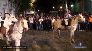 Desfile de Caballos Jinetes Carruajes Tropillas [upl. by Zetnwahs472]