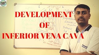 Development of Inferior Vena Cava [upl. by Odericus]