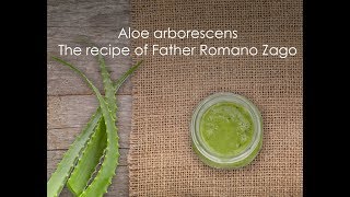 The benefits of aloe arborescens and the recipe of Father Romano Zago [upl. by Semadar]