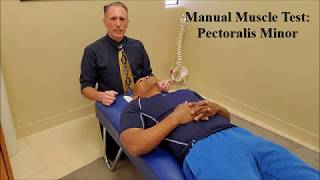 Manual Muscle Testing MMT Pectoralis Minor Pec Minor [upl. by Teresa375]