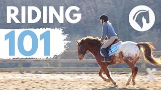 HOW TO RIDE A HORSE EASY BEGINNERS GUIDE [upl. by Isiad]