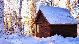 Off Grid Cabin in the Alaskan Wilderness [upl. by Nairb]