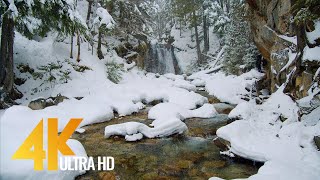 4K Winter Beauty of Canadian Nature  Part 3  Scenic Lakes and Waterfalls of Canada [upl. by Marline467]