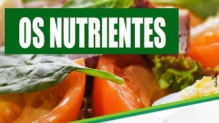 Nutrientes o que são tipos funções e exemplos [upl. by Assirim61]