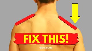 How to Fix a Low Shoulder at Home NO EQUIPMENT [upl. by Rodman]