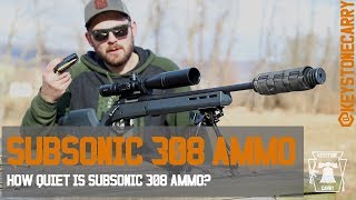 Subsonic 308 Ammo How Quiet is it [upl. by Tigram717]