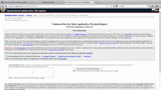 How to File a Trademark Application in the US  Part 1 [upl. by Nnaeilsel]