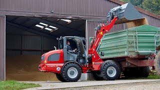 Weidemann – Radlader 4080LP Getreide laden [upl. by Alatea642]