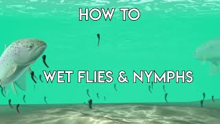 Using Wet Flies amp Nymphs  How To [upl. by Vinny288]