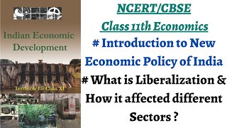 P1 New Economic Policy  Why amp How What is Liberalization  NCERT Class 11 Economics Chapter 3 [upl. by Gulgee]