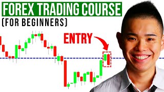 The Ultimate Forex Trading Course For Beginners [upl. by Zabrine]