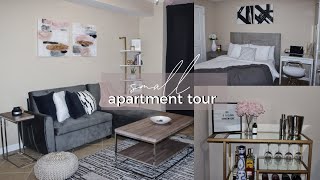 My Small Apartment Tour😭  AFFORDABLE Minimal  Modern Decor [upl. by Tallu869]