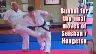 Practical Kata Bunkai End of Seishan  Hangetsu [upl. by Devinne]