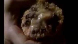 Pepperidge Farm Muffin Commercial 1985 [upl. by Demeter]