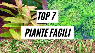 TOP 7 PIANTE FACILI IN ACQUARIO [upl. by Desi]