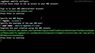 Installing amp Configuring the AWS Amplify CLI [upl. by Myrtie]