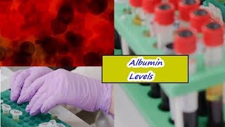 Albumin Levels – High Low Normal Range [upl. by Swarts]