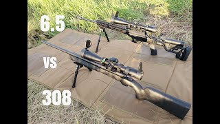 308 vs 65 creedmoor at 1000 yards [upl. by Nhoj]