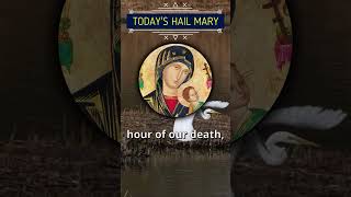 Today’s Hail Mary for protection amp Safety prayrosary [upl. by Hervey]