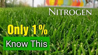 Bet You DONT Know This About Nitrogen Lawn Fertilizers [upl. by Annohsed]