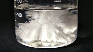 Supersaturated Sodium Acetate Crystallization [upl. by Ateinotna33]