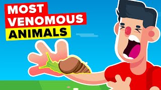 Most Venomous Animals In The World You Should Watch Out For [upl. by Akemed]