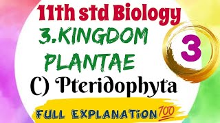 11th std Biology Kingdom Plantae  Pteridophyta Part 3 Class 11 Biology Lesson 3  Pteridophyta [upl. by Madid]