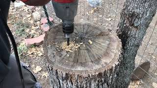 Burning a tree stump easy removal [upl. by Navak]