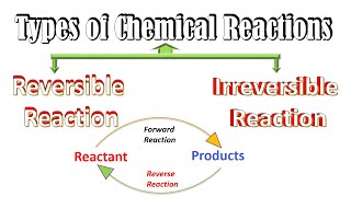 Reversible and Irreversible Reactions Chemistry  Chemical Reactions Types Chemical Equilibrium [upl. by Seiden234]