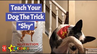 SuperDogs  Teach Your Dog The Trick  Shy  Dog Training [upl. by Henrieta]