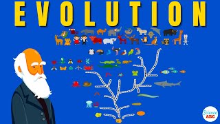 Darwins theory of Evolution A REALLY SIMPLE and Brief Explanation [upl. by Gnes]