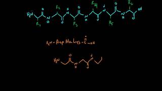 Drawing Peptides [upl. by Annoeik624]