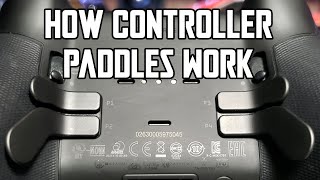 How Controller Paddles Work and Why Theyre Worth it [upl. by Eba62]