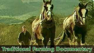 Traditional Farming Documentary  Farm life in Ireland during the 1930s  quotPreserving the Pastquot [upl. by Llenna]