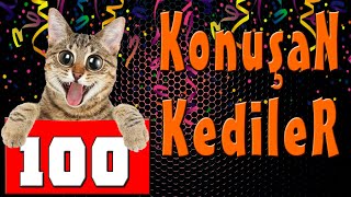 Konuşan Kediler 100  En Komik Kedi Videoları [upl. by Uyerta554]