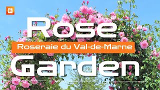 Roseraie de LHAY Roseraie du ValdeMarne France 🇫🇷 [upl. by Westley]