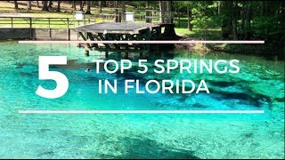 TOP 5 SPRINGS in FLORIDA with a CAMPGROUND [upl. by Aihtnic]