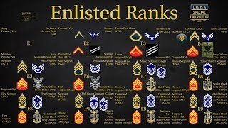 US Military All Branches ENLISTED Ranks Explained [upl. by Nie]