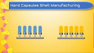 Manufacturing of shells of hard capsules [upl. by Krenn]