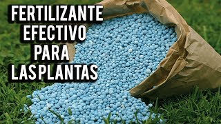 FERTILIZANTE EFECTIVO PARA LAS PLANTAS  NITROFOSKA Azul  BOLITAS AZULES [upl. by Lu]