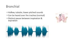 Essential Lung Sounds [upl. by Asilenna]