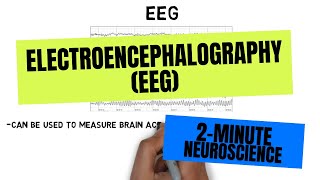 2Minute Neuroscience Electroencephalography EEG [upl. by Ear302]