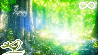 Spring • Beautiful Relaxing Music with a Flute Cello Guitar amp Piano [upl. by Halil644]