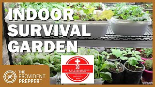 How to Grow an Indoor Survival Garden [upl. by Aihsek]