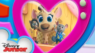 Gio The Giraffe 🦒  Calling All TOTS  TOTS  disneyjr [upl. by Vedetta]