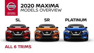 2020 Nissan Maxima Sedan Walkaround amp Review [upl. by Robet]