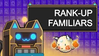 MapleStory How To Rank Up Familiars  Familiar Guide [upl. by Mastic499]