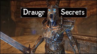 Skyrim 5 Things They Never Told You About the Draugr [upl. by Troth140]